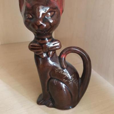 Cat from Camp Belton