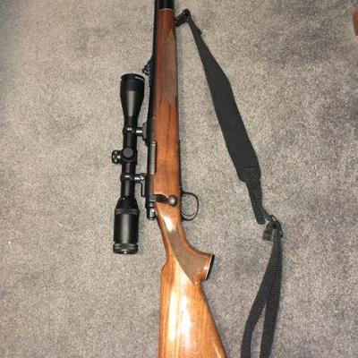 243 remington 700 bdl / scope 