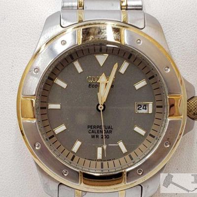 251: 251: Citizen Wristwatch
Contains one Citizen Wristwatch 
J4 3 of 4