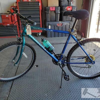 700: RoadMaster USA Northern Point Bicycle
18 speed shimano Gearing. Has Water bottle holder.