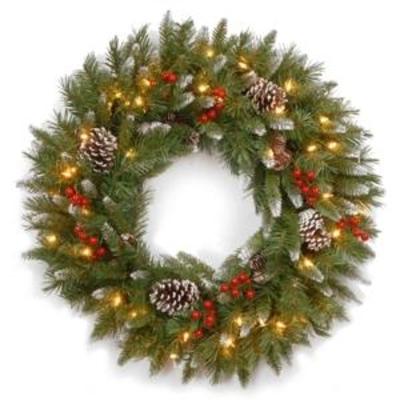 National Tree Company 24 Frosted Berry Wreath wit ...