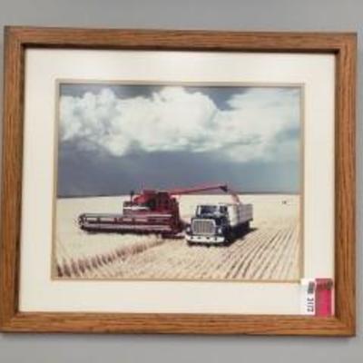 Framed Photograph of Wheat Feild Being Harvested