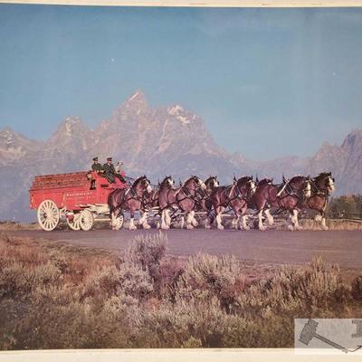 4631: Budweiser Wagon Pulled by Clydesdale Horses Photo
Measures approx 20