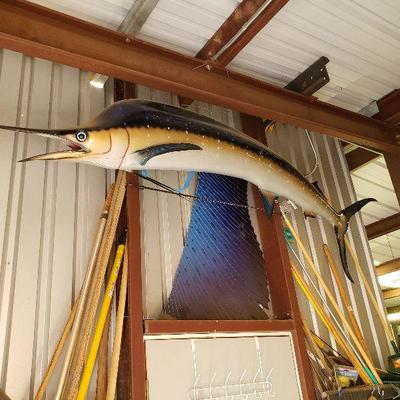 7 - 8 ft Marlin mount. Wow!