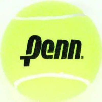Penn Championship Extra Duty Tennis Ball, 16 Cans