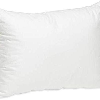 (2) Hypoallergenic Pillows for Toddlers w Blanket