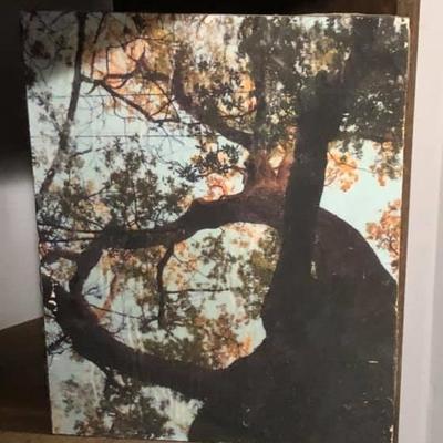 ML3038: Conner McManus Art: Local Pickup  https://www.ebay.com/itm/113966477535