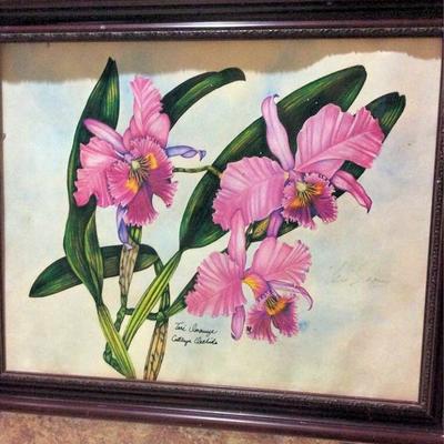 MCC001 Cattleya Orchid Print Signed by Artist Teri Inouye