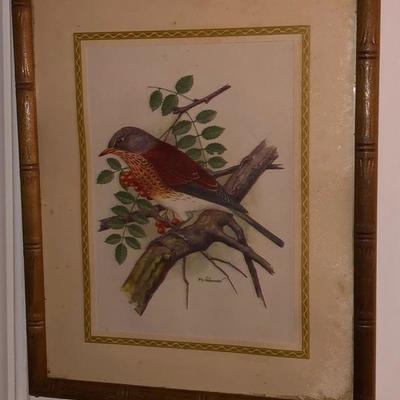 Bird picture
$8