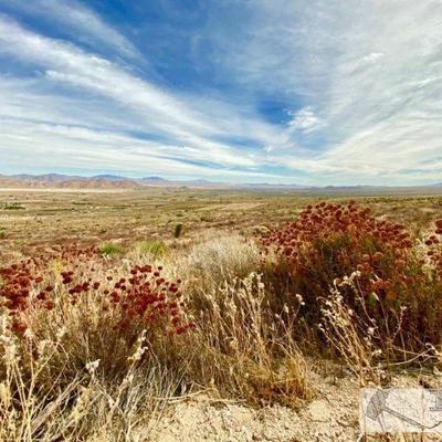 LOT 200: Photo 6 of 10
Beautiful Lot 2.46 acres
2.46 acres lot in Apple Valley. This lot is at the base of the San Bernardino Mountains....