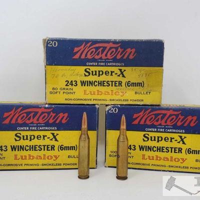 664: Approx 62 Rounds of 243 Winchester
Approx 62 Rounds of 243 Winchester