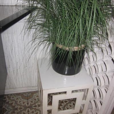 Plants and Oriential Cubes 