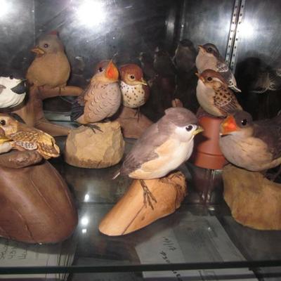 Bird Collections 