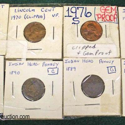  Sheet of (8) Lincoln and Indian Head Pennies

Auction Estimate $2-$5 â€“ Located Glassware 