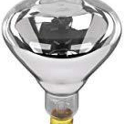 FeitElectric 120-Volt Incandescent Light Bulb (Set ...
