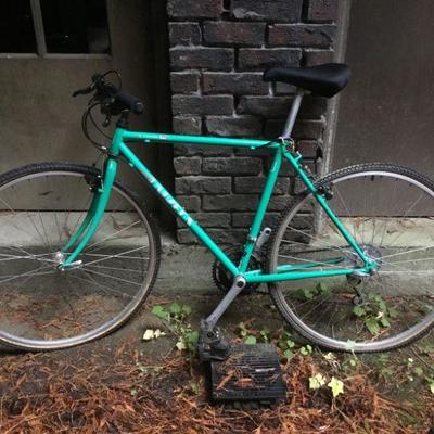 Univega Via Carisma Bike