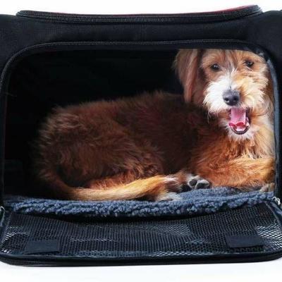 Large A4Pet Collapsible Cat and Dog Carrier, Top L ...