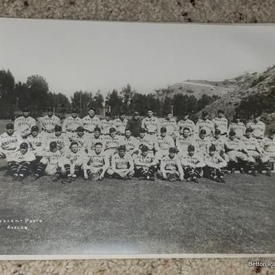 1931 Chicago Cubs Team Photo