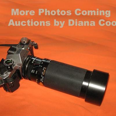 Diana Cook Auctioneer