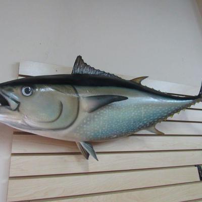 Fiberglass Mounted Tuna