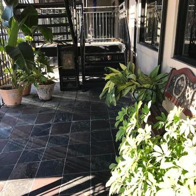 Potted Plants and Stairways