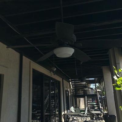 Ceiling Fans