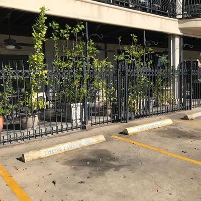 Rod Iron Fence and Potted Plants