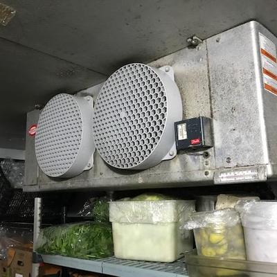 Cooler Fans