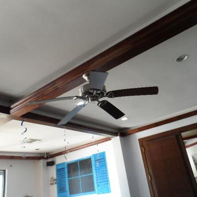 Ceiling Fans