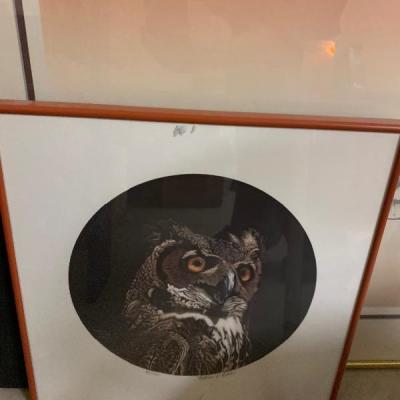 Vintage Owl Drawing-$5