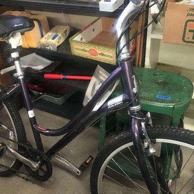 Purple Bike, Raleigh, Venture 