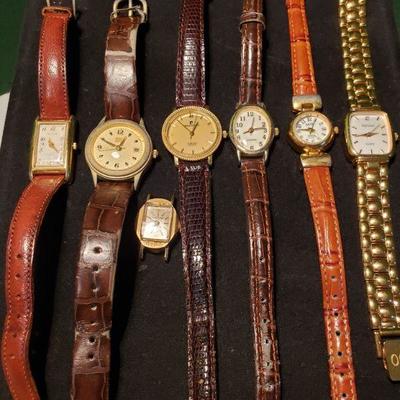 Collection of Watches 7