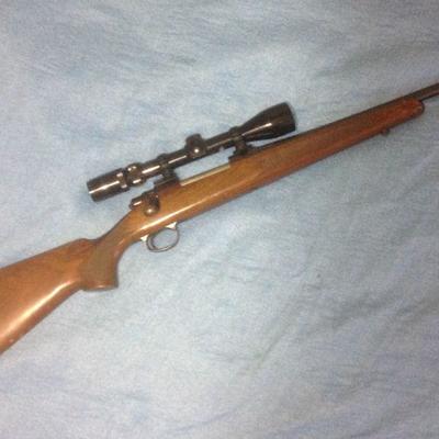 Model 700 winchester