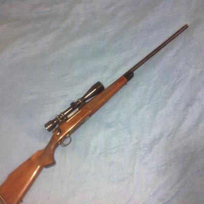 Model 700 Winchester