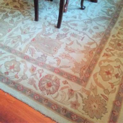 Nice muted tones area rug
