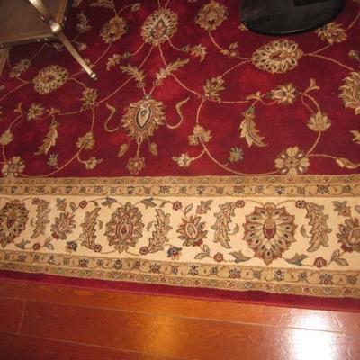Many Area Rugs To Choose From