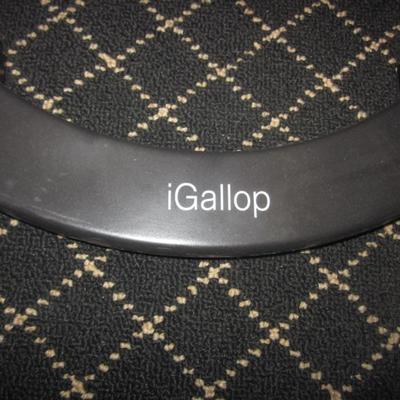 iGallop  