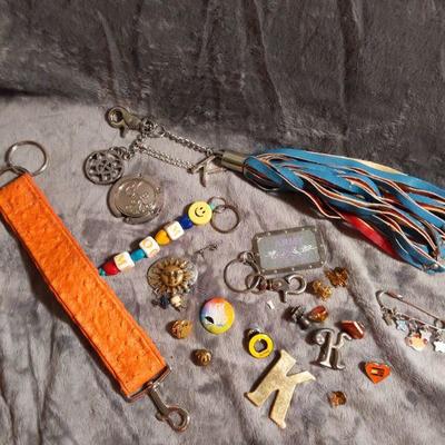 Assorted Lapel Pins and Key Chains