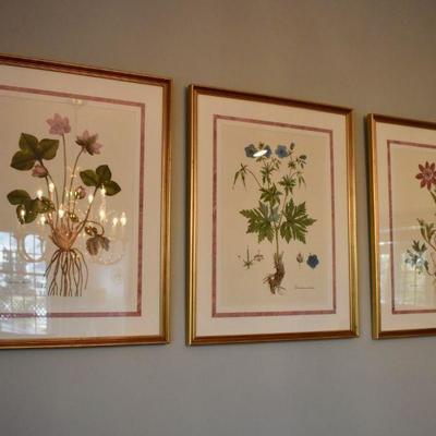 Framed botanicals