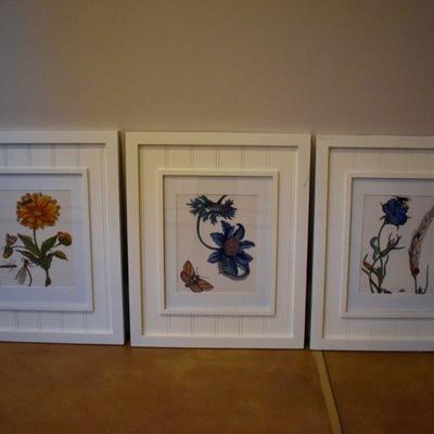 Framed botanical prints
