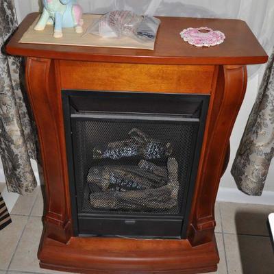 Freestanding LP/Natural Gas Fireplace with remote *NEVER USED* $300