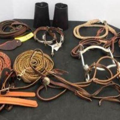 A collection of bits, spurs, and other leather accessories for horses and horse back riding. https://ctbids.com/#!/description/share/326899
