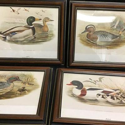 Vtg Duck Prints-John Gould