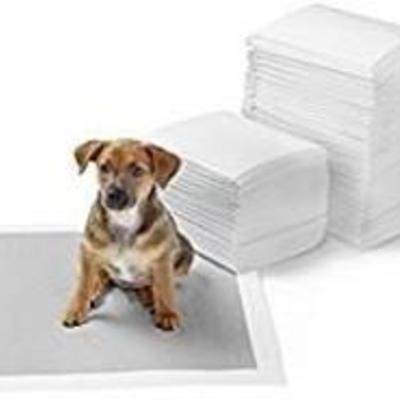 AmazonBasics Regular Pet Dog and Puppy Training Pads - Pack of 150