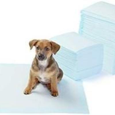 AmazonBasics Pet Training and Puppy Pads, Regular and Heavy Duty