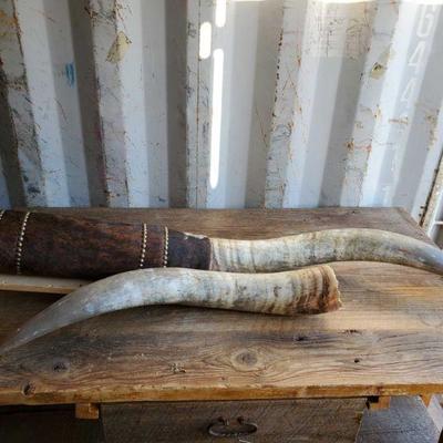 4205: Longhorn Wall Mount
Approximately 80" if together