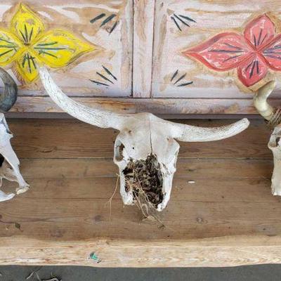 5001: 3 Cattle Skulls
Measures approx from 14"x14" to 28"x13"