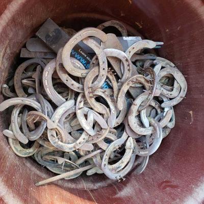 3504: 55 Gallon Drum with Horseshoes and Files
Also includes lid