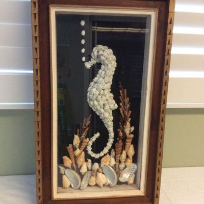MVP062 Seahorse Shell Picture 