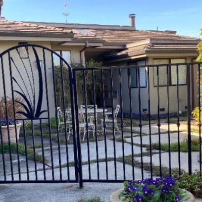 Iron Fence and gate